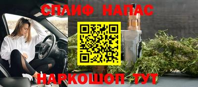 шишки Абакан