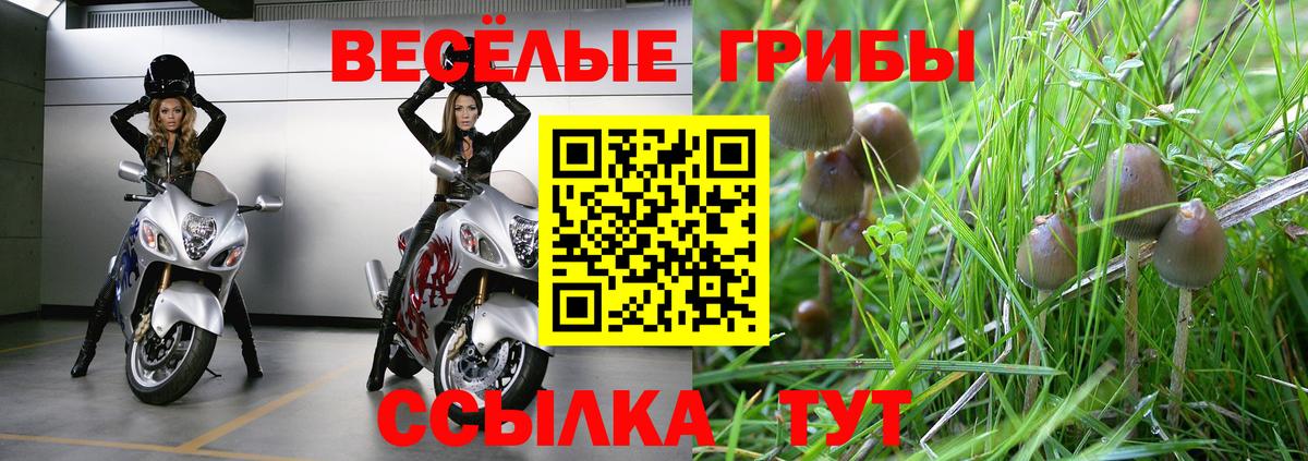 Галлюциногенные грибы ЛСД Абакан