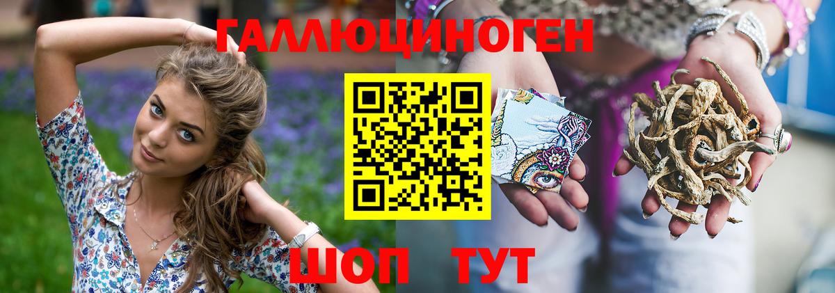 Галлюциногенные грибы Psilocybe  Галлюциногенные грибы Psilocybe  Вход с VPN  купить наркотики цена  Абакан 